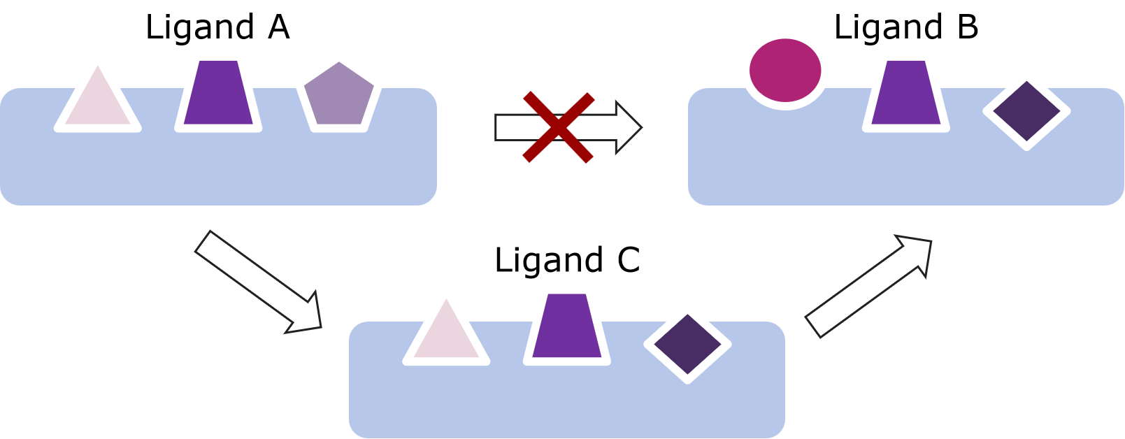 import_structure