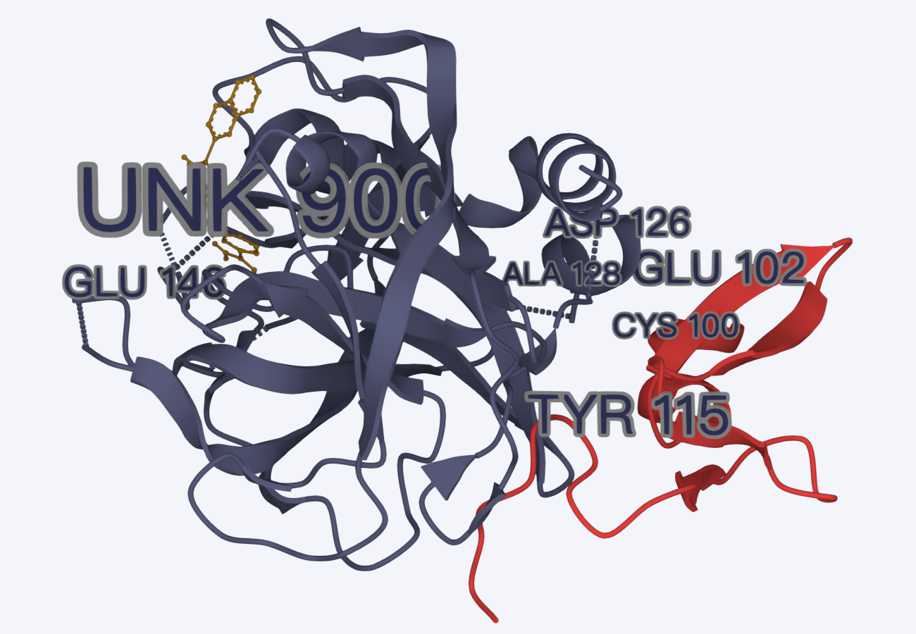 import_structure