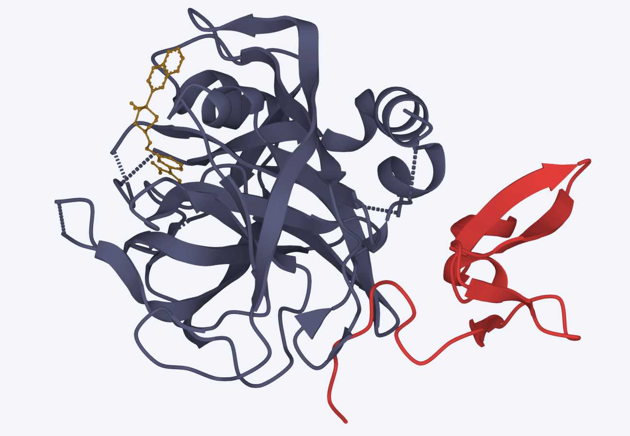 import_structure