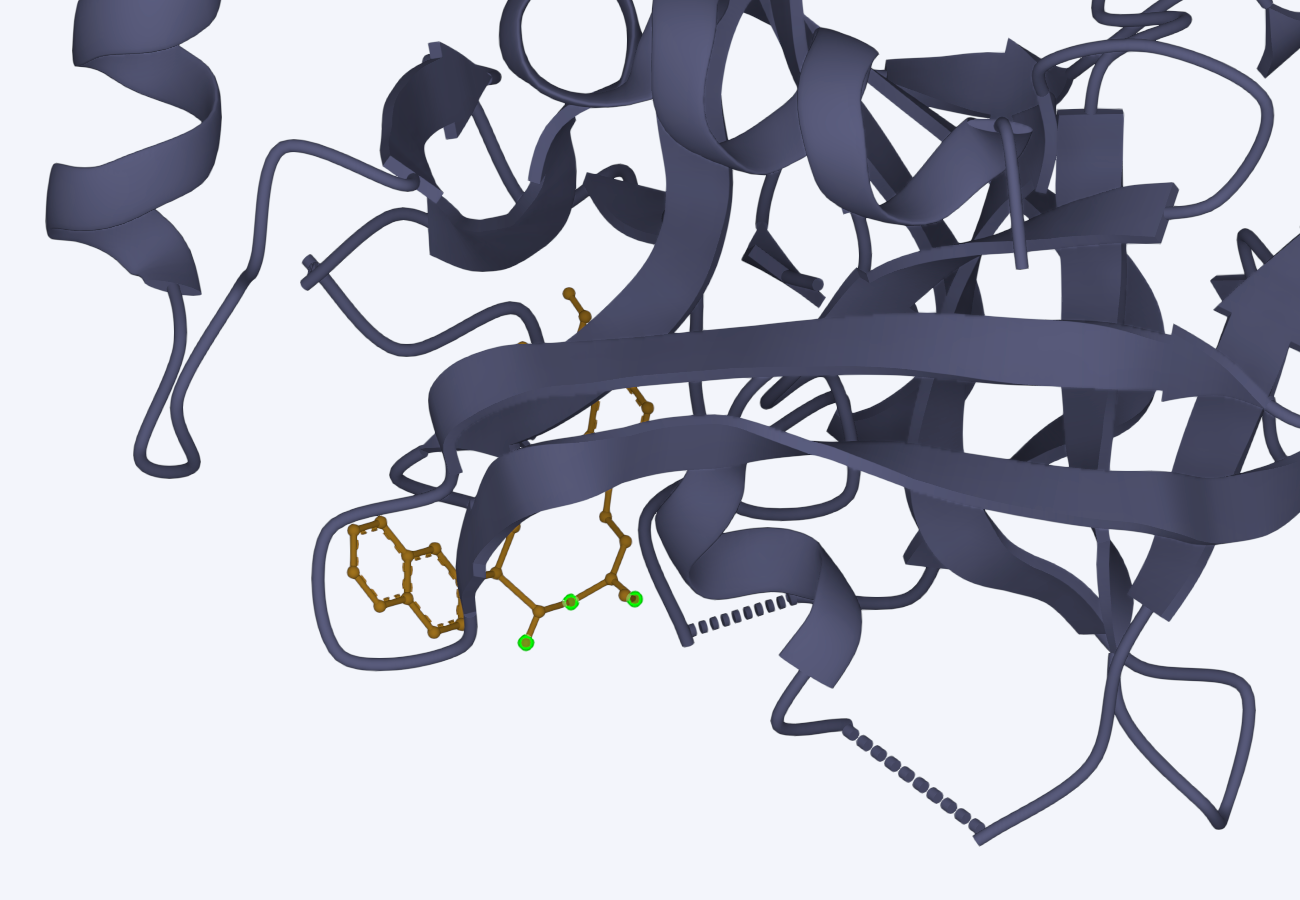 import_structure