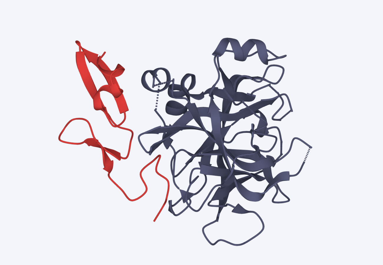 import_structure